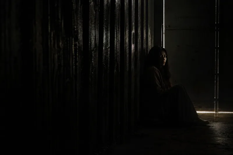 The Dark